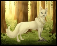 /album/secret-singing-wolves/comision-kopie-2-jpg/